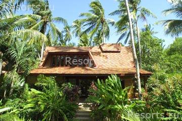 Coconut Village 8